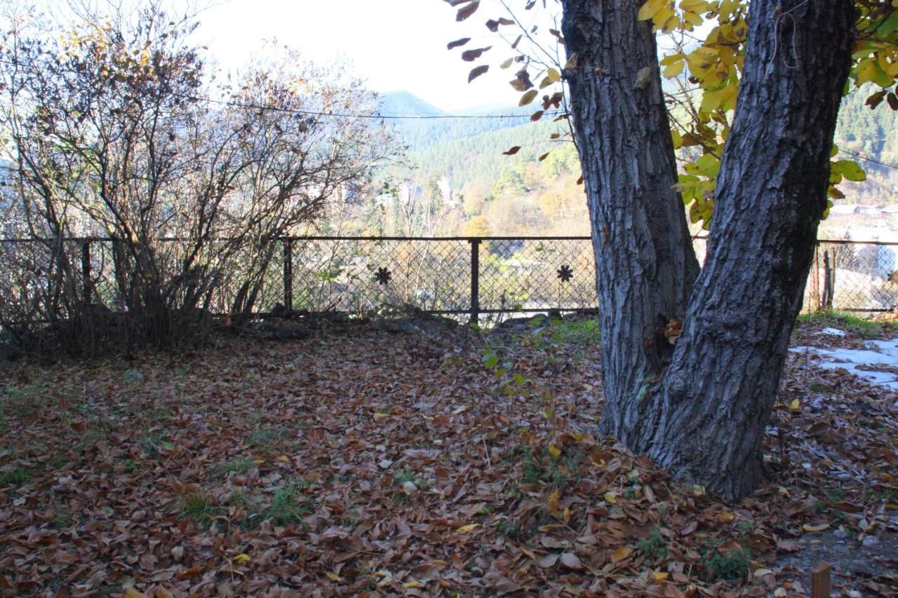 Гостевой дом Old Borjomi House Боржоми-42