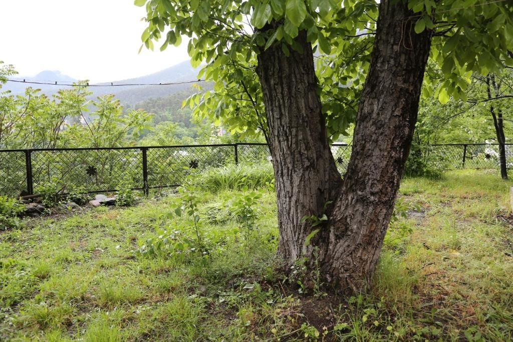 Гостевой дом Old Borjomi House Боржоми