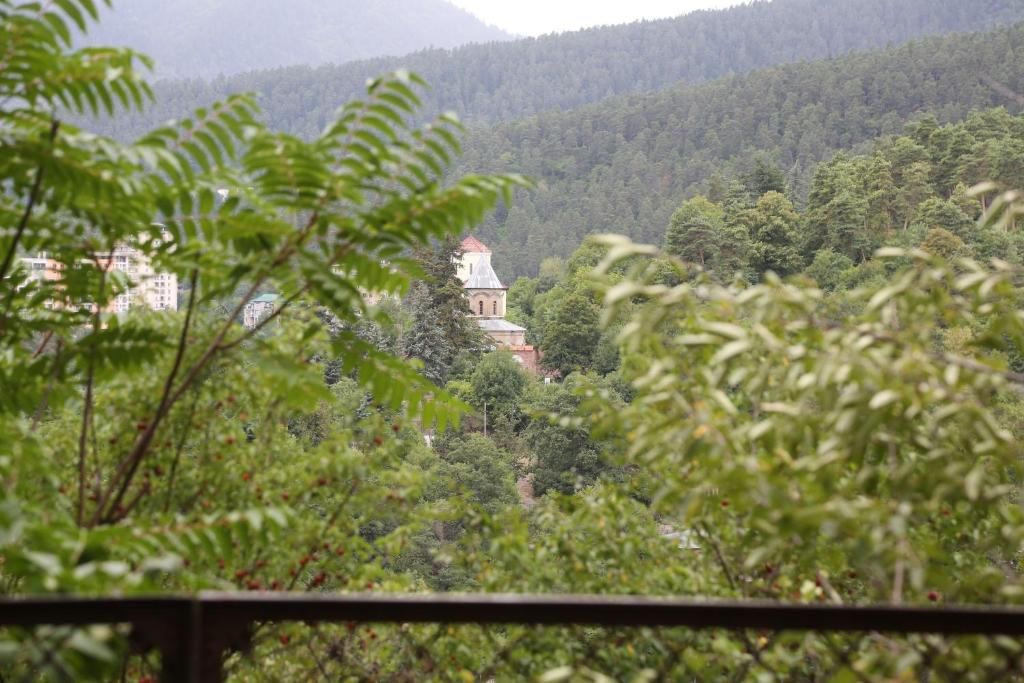 Гостевой дом Old Borjomi House Боржоми-74