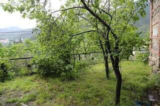 Гостевой дом Old Borjomi House Боржоми Дом с 2 спальнями-23